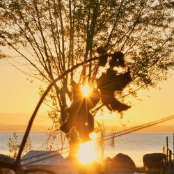 Silhouette trees on beach against sky during sunset