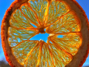 Close-up of dried orange slice against sky
