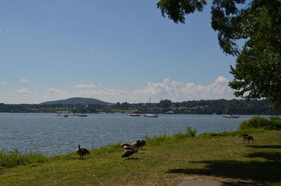Scenic view of lake against sky