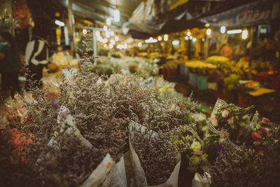 Flowers at night