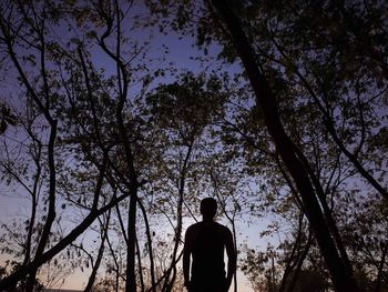 Low angle view of silhouette man standing by tree in forest