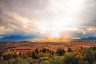 Scenic view of landscape against cloudy sky during sunrise