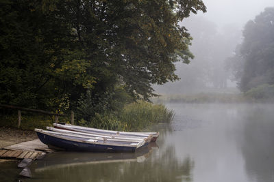 Boat moored on misty lake by trees