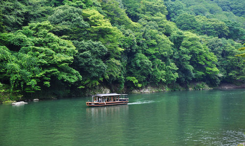 Scenic view of river amidst trees
