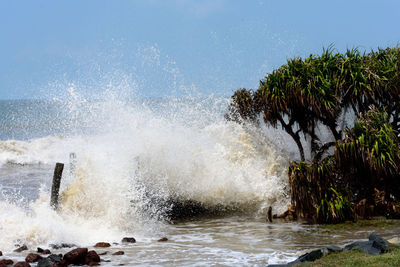 Sea waves splashing on rocks against sky