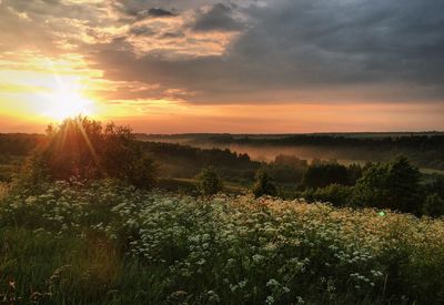 Scenic view of field against sky at sunset