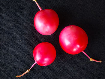 High angle view of red balloons on table against black background