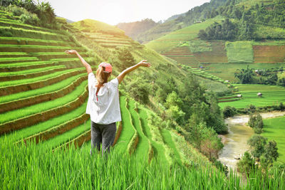 Rear view of woman standing at terraced field