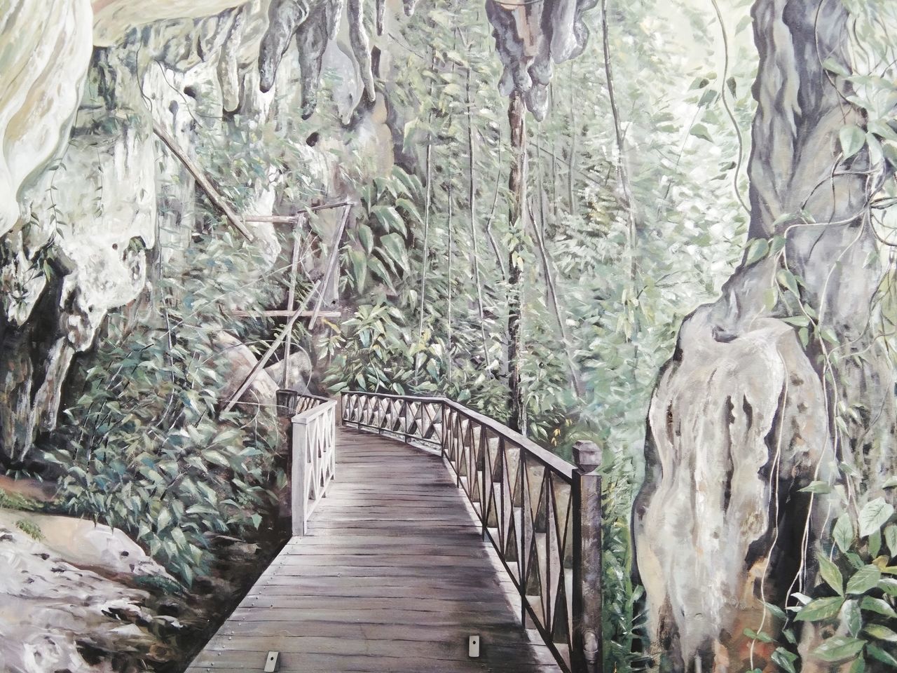 VIEW OF FOOTPATH IN FOREST