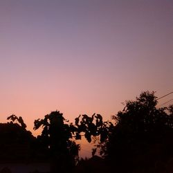 Low angle view of silhouette trees against sky at sunset