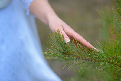 Midsection of woman holding plant