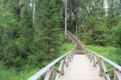 Footbridge amidst trees in forest