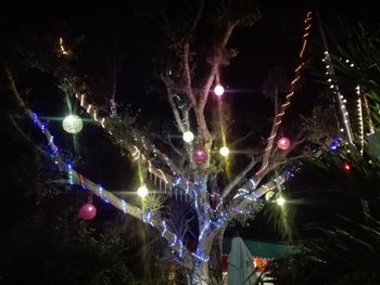 Illuminated christmas tree at night