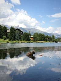 Scenic view of lake against cloudy sky