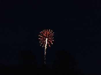 Low angle view of firework display in sky at night