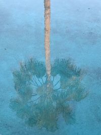 Man on tree against sky