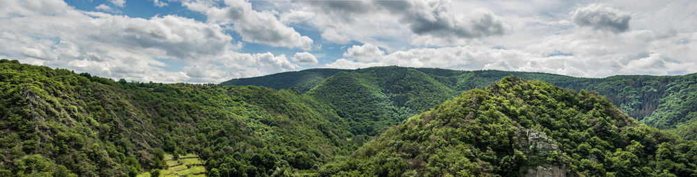 Panoramic view of trees in forest against sky