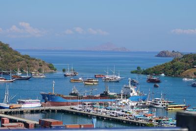 Sailboats moored at harbor