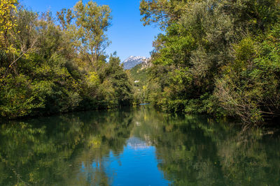 Scenic view of lake in forest against sky