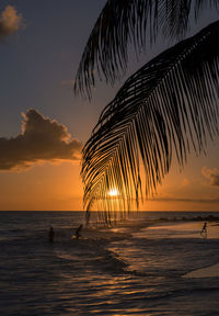 Scenic view of sea against sky during sunset, maxwell beach, barbados.
