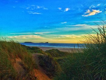 Scenic view of beach against blue sky