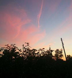 Low angle view of trees against sky at sunset