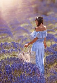 Lovely girl picks lavender in a basket