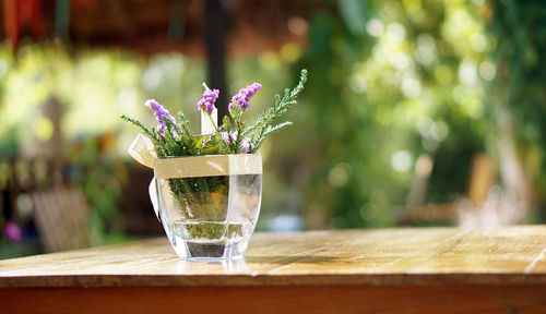 Purple clower in water glass dinning table decoration in sunlight