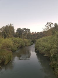 Scenic view of river against clear sky