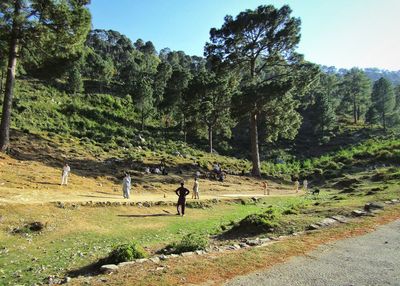 Trees on field against clear sky