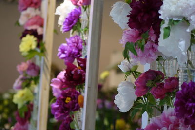 Close-up of pink flowers