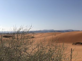 Scenic view of beach against clear sky