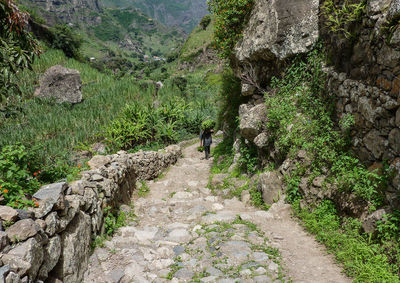 Rear view of man walking on footpath