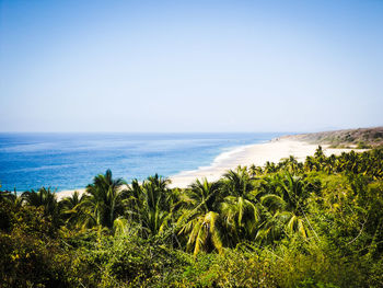 Scenic view of sea against clear blue sky