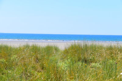 Scenic view of sea against clear sky