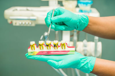 Cropped hand of dentist holding dentures