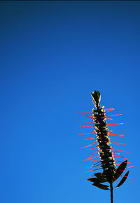 Low angle view of clear blue sky