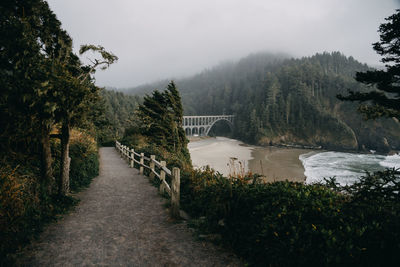 Bridge over river amidst trees against sky in oregon