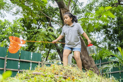 An asian girl is adventuring in a wide world. along with a bug catcher, stand on a hill and ready 