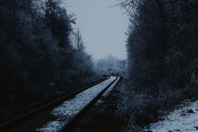 Railroad tracks amidst trees during winter