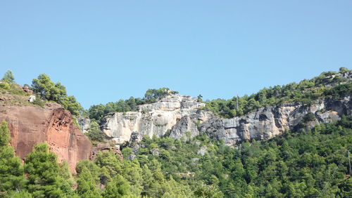 Plants growing on rock against clear blue sky