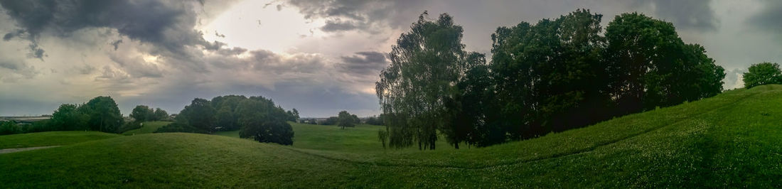 Panoramic view of trees on field against sky