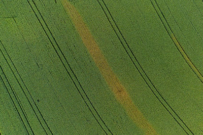 Full frame shot of agricultural field