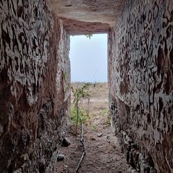 Weathered wall of old building