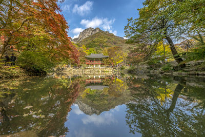 Scenic view of lake by trees against sky