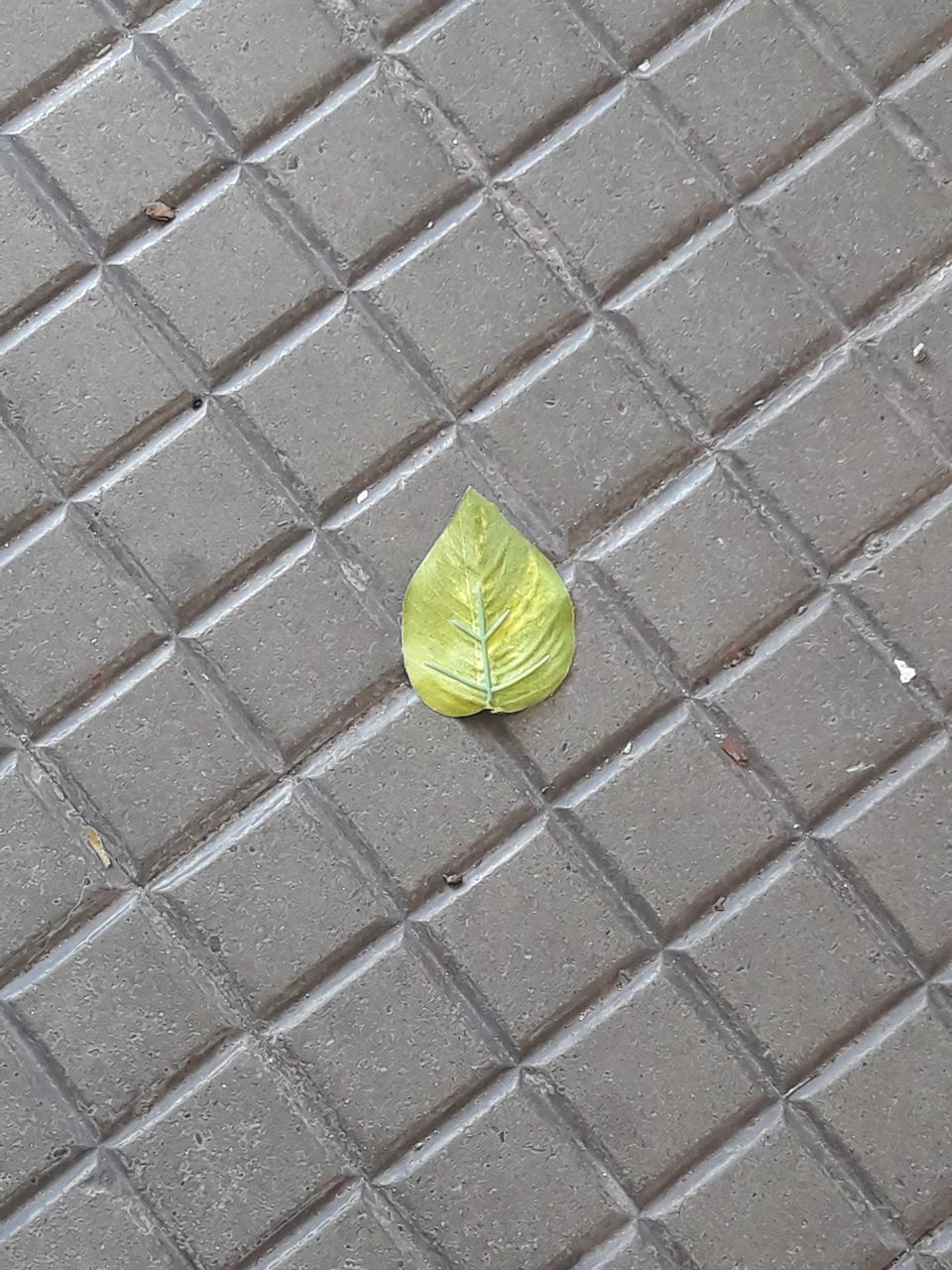 HIGH ANGLE VIEW OF YELLOW UMBRELLA ON FOOTPATH
