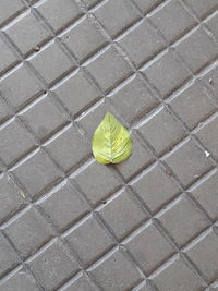 High angle view of yellow ball on footpath