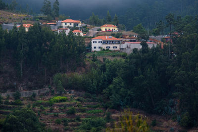 High angle view of trees and buildings in city