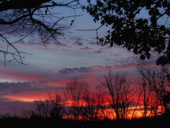 Silhouette bare trees against sky during sunset