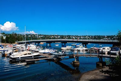 Boats moored at harbor